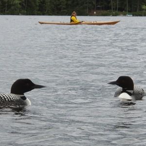 Meet your Posher, Jo